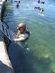 IMG_7726 IMG_7726