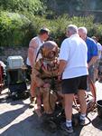 IMG_7731 IMG_7731