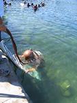IMG_7741 IMG_7741