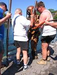 IMG_7742 IMG_7742