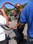 IMG_7772 IMG_7772