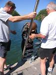 IMG_7773 IMG_7773