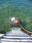 IMG_7775 IMG_7775