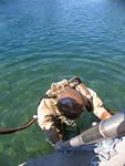 IMG_7786 IMG_7786