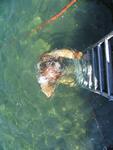 IMG_7787 IMG_7787