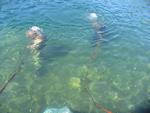 IMG_7789 IMG_7789