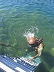 IMG_7799 IMG_7799