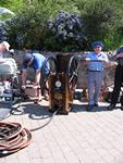 IMG_7824 IMG_7824