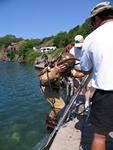 IMG_7828 IMG_7828