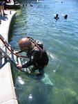 IMG_7849 IMG_7849