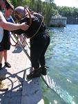 IMG_7890 IMG_7890