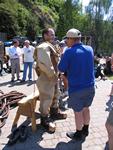 IMG_7910 IMG_7910