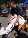 IMG_7918 IMG_7918
