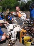 IMG_7919 IMG_7919
