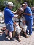 IMG_7936 IMG_7936