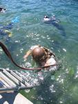 IMG_7943 IMG_7943