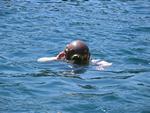 IMG_7945 IMG_7945