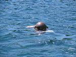 IMG_7946 IMG_7946