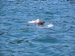 IMG_7947 IMG_7947