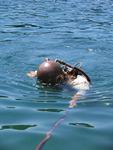 IMG_7951 IMG_7951