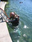 IMG_7973 IMG_7973