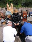 IMG_7979 IMG_7979