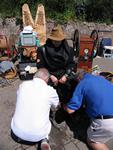 IMG_7981 IMG_7981