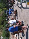 IMG_7999 IMG_7999