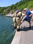 IMG_8011 IMG_8011