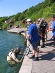 IMG_8013 IMG_8013