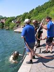 IMG_8014 IMG_8014