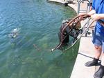 IMG_8017 IMG_8017