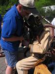 IMG_8048 IMG_8048