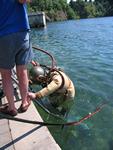 IMG_8059 IMG_8059