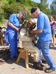 IMG_8106 IMG_8106