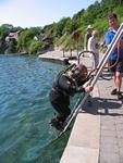 IMG_8113 IMG_8113