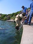 IMG_8116 IMG_8116