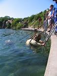 IMG_8118 IMG_8118