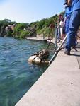 IMG_8119 IMG_8119