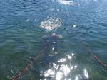 IMG_8127 IMG_8127