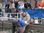 IMG_7330 IMG_7330