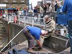 IMG_7332 IMG_7332