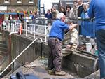 IMG_7333 IMG_7333