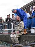 IMG_7341 IMG_7341