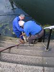 IMG_7361 IMG_7361