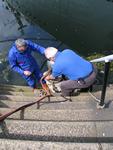 IMG_7362 IMG_7362