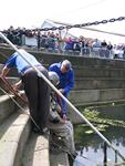 IMG_7365 IMG_7365