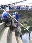 IMG_7366 IMG_7366