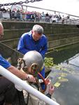 IMG_7368 IMG_7368