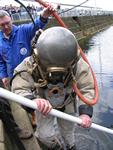 IMG_7377 IMG_7377